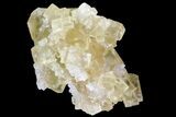 Lustrous Yellow Cubic Fluorite Crystal Cluster - Morocco #84290-1